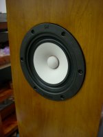 DSCN5082.jpg