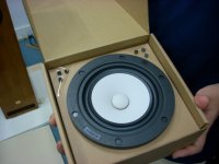 DSCN5067.jpg