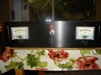 DB amp front w knobs.jpg