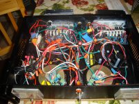 DB amp front guts.jpg