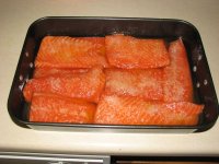 IMG_7514.jpg
