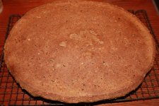 IMG_3612 (Large).JPG