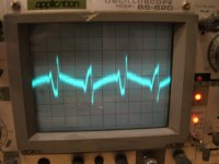 2nd amp w. mu.JPG