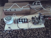 DADO-TMC-T-2pairs-listening.JPG