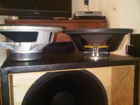 WOOFH-12211A.jpg