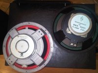 WOOFH-12211C.jpg