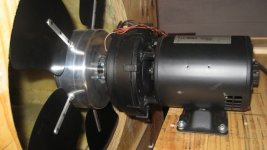 IMG_0804.jpg