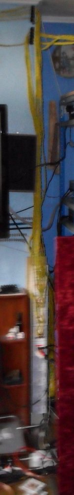 SAM_0698.jpg