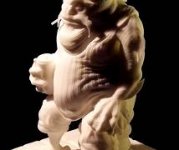 crapaud1_thumbnail_image.jpg