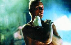 Blade-Runner_rutger.jpg