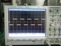 SNC00277.jpg