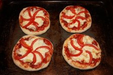 IMG_4100 (Large).JPG