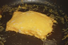 IMG_3736 (Large).JPG