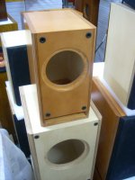 Finbirchply-22.jpg