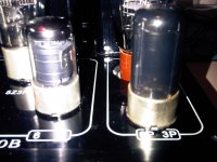 IMG00156-20110414-0817.jpg