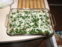 IMG_4243.jpg