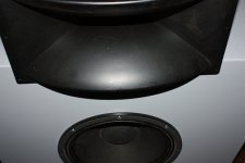 IMG_5345.JPG