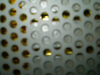 P1010005.jpg