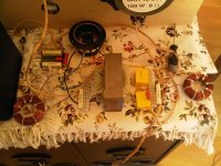 IMG01874-20110720-0957.jpg