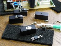 Prepearing the Fets.jpg