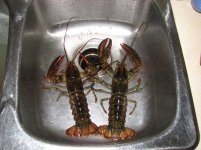 IMG_7193.jpg