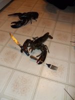 lobsters2.jpg