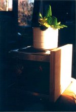 aleph5photo1.jpg