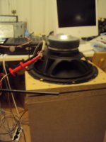 ZDL woofer external driver.jpg