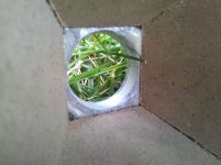 IMG_20110820_190614.jpg