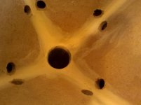 IMG_20110904_172437.jpg