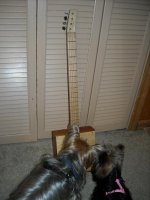 First_4-String.JPG