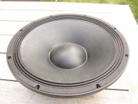 Yorkville_bass_7410_c.JPG