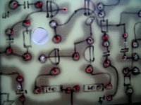 Silk detail.JPG