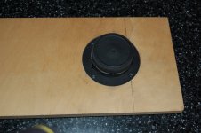 DSC_0205.JPG