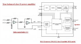 True Balanced class D power amplifier.JPG