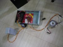 P1000750.jpg
