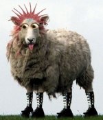 punksheep.jpg