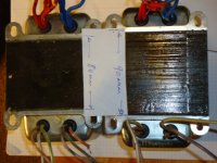 DSC06317.JPG