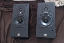 IMAG0042.jpg