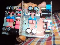 Giardinera PSU-RIAA.jpg