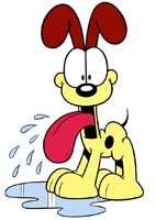 odie.jpg