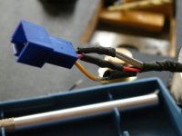 Rega lead_plug.jpg