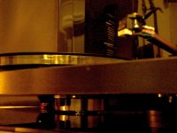 Rega finished.jpg