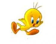 Tweety bird.jpg