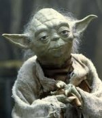 yoda.jpeg