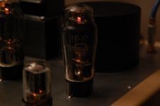 DSC_4750.jpg
