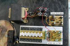 APEX AX14TEF 7pairs.jpg