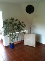 IMG_0322.jpg