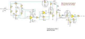 Signal path capacitors.JPG
