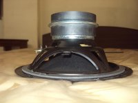DSC01410.JPG